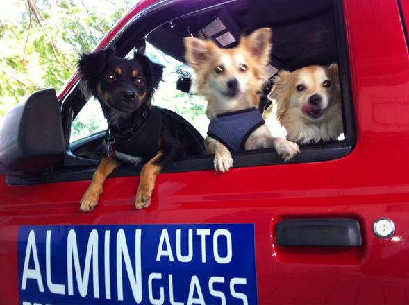 3 Dogs